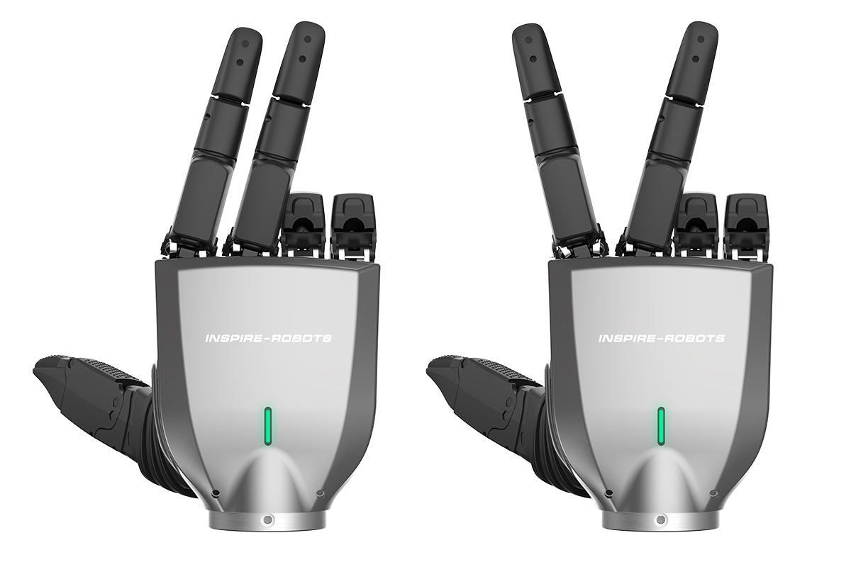 Inspire Robots - RH5DG2 - Fünf - Fingergreifer - Dexterous Hand